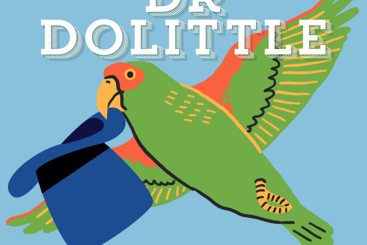 Dr Dolittle – The Dance Show